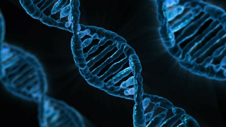 DNA is a molecule that contains the instructions for building and maintaining a living organism.